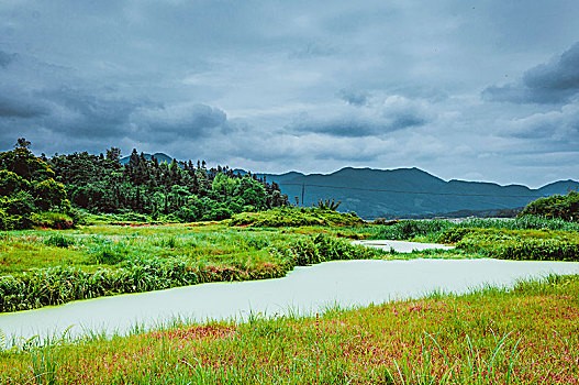 2023年深圳凤凰领寓等15个安居房认购申请指南