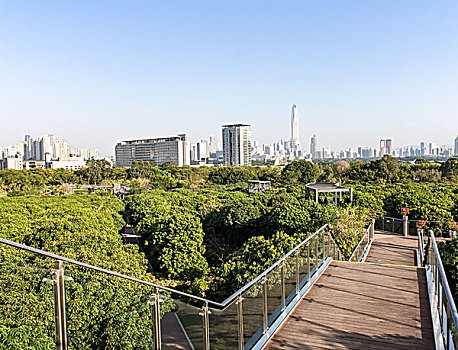 深圳劳动合同[样本]