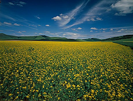 广东少数民族聚居点 原汁原味民族风情