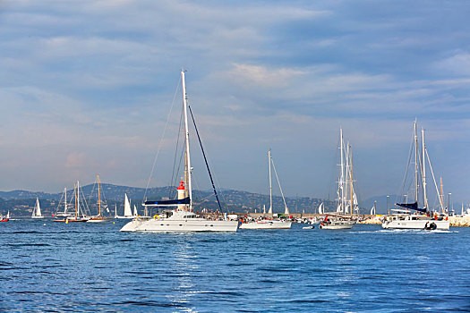 深圳小汽车车牌竞价流程和竞价指引